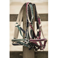 Halfter Lami-Cell Elegance Schwarz / Grau