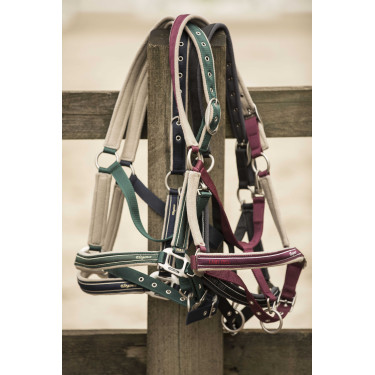 Halfter Lami-Cell Elegance Schwarz / Grau