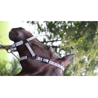 Halfter Lami-Cell Midnight Schieferblau Halfter Lami-Cell Midnight Schieferblau