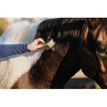 Striegel mit Griff Hippotonic Vapeur Striegel mit Griff Hippotonic Vapeur