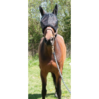 Schwarze Fliegenmaske T de T Schwarz Schwarze Fliegenmaske T de T Schwarz