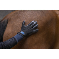 Hippo-Tonic Fellwechsel-Striegelhandschuh Schwarz Hippo-Tonic Fellwechsel-Striegelhandschuh Schwarz