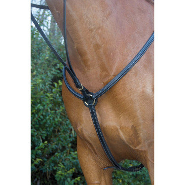 Brustblatt mit Doppelnaht T de T Schwarz