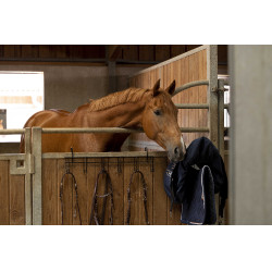 Trensenhalter Hippotonic 6 Plätze, mit Haken Schwarz Trensenhalter Hippotonic 6 Plätze, mit Haken Schwarz