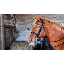 Bride de dressage cuir Pollock T de T Noir
