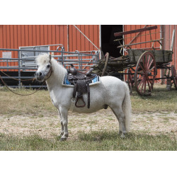 Western-Sattel Westride Topeka Western-Sattel Westride Topeka