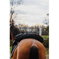 Randol's Banane-Satteltasche Schwarz