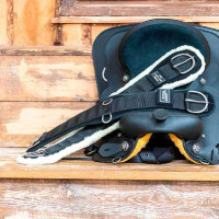 Western-Gurt Lami-Cell V22 Schwarz Western-Gurt Lami-Cell V22 Schwarz