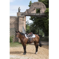 Pferdepad Westride Filz 16 mm Pferdepad Westride Filz 16 mm
