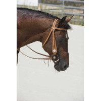 Bridon Westride von Franck Perret Aurora Haselnuss Braun Bridon Westride von Franck Perret Aurora Haselnuss Braun