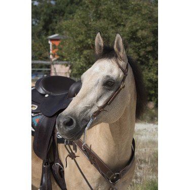 Bridon Westride von Franck Perret 1 Ohr Schokolade Braun Bridon Westride von Franck Perret 1 Ohr Schokolade Braun