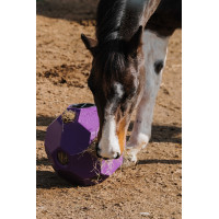 Anti-Schlingball Hippotonic für Heu mit mehreren Löchern Violett Lila Anti-Schlingball Hippotonic für Heu mit mehreren Löchern Violett Lila