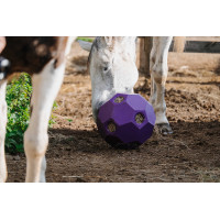 Anti-Schlingball Hippotonic für Heu mit mehreren Löchern Violett Lila Anti-Schlingball Hippotonic für Heu mit mehreren Löchern Violett Lila
