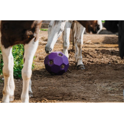 Anti-Schlingball Hippotonic für Heu mit mehreren Löchern Violett Lila