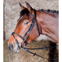 Bridon cuir Bellini T de T Havane foncé Bridon cuir Bellini T de T Havane foncé