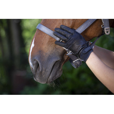 Equithème Soft Lederhandschuhe Equithème Soft Lederhandschuhe