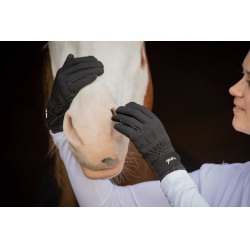 Pénélope Winterhandschuhe Schwarz Pénélope Winterhandschuhe Schwarz