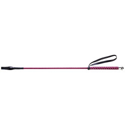 Peitsche Whip & Go Points