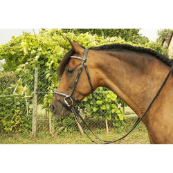 Trensenzaum mit weißem Clincher Goya T de T Trensenzaum mit weißem Clincher Goya T de T