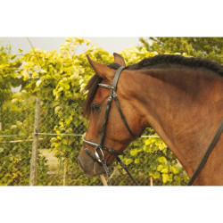 Trensenzaum mit weißem Clincher Goya T de T Trensenzaum mit weißem Clincher Goya T de T