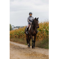 Wasserdichter Equithème Originals Hanoi Grau Wasserdichter Equithème Originals Hanoi Grau