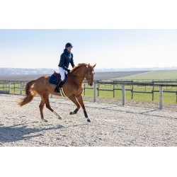 Steppjacke Pro Series Diagonal Marineblau