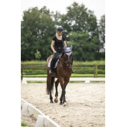 Lami-Cell Luc Reithelm Matt Schwarz