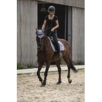 Lami-Cell Luc Reithelm Matt Schwarz