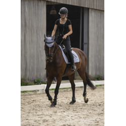 Lami-Cell Luc Reithelm Matt Schwarz