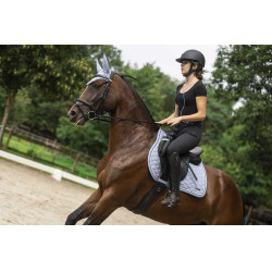 Lami-Cell Luc Reithelm Matt Schwarz