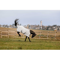 PVC-Hemd Equithème Anti-UV Weiß Weiß PVC-Hemd Equithème Anti-UV Weiß Weiß