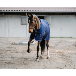 Equithème Classic 3D Mesh-Hemd Marineblau