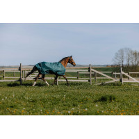 Equithème TYREX 600D Decke Grün