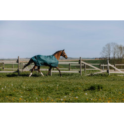 Equithème TYREX 600D Decke Grün Grün Equithème TYREX 600D Decke Grün Grün