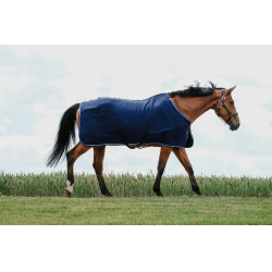 Trocknungsdecke Riding World Trocknungsdecke Riding World