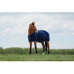 Trocknungsdecke Riding World Trocknungsdecke Riding World