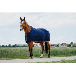 Trocknungsdecke Riding World Trocknungsdecke Riding World