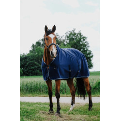 Trocknungsdecke Riding World Trocknungsdecke Riding World