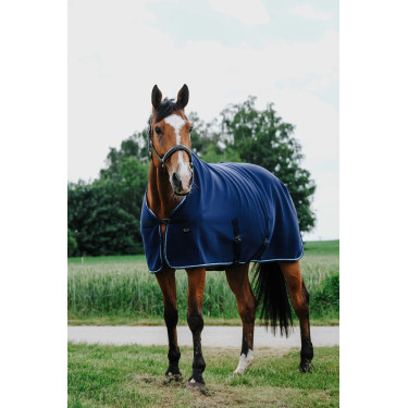Trocknungsdecke Riding World Trocknungsdecke Riding World
