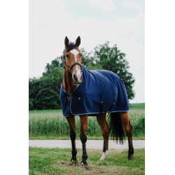 Trocknungsdecke Riding World Trocknungsdecke Riding World