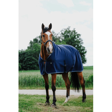 Trocknungsdecke Riding World Trocknungsdecke Riding World