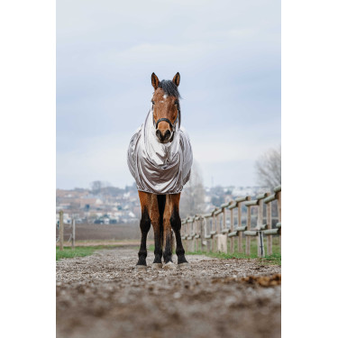 Eczema-Schutzshirt Riding World Eczema-Schutzshirt Riding World