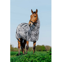 Ekzemerdecke Zebra Riding World Schwarz-weißes Zebra