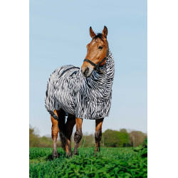 Ekzemerdecke Zebra Riding World Schwarz-weißes Zebra