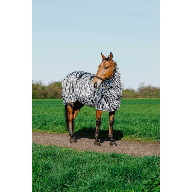 Ekzemerdecke Zebra Riding World Ekzemerdecke Zebra Riding World