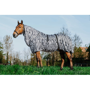 Ekzemerdecke Zebra Riding World Ekzemerdecke Zebra Riding World