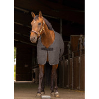 Hemd Equithème Méliert Meliertes Grau Hemd Equithème Méliert Meliertes Grau