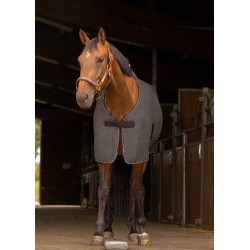 Hemd Equithème Méliert Meliertes Grau