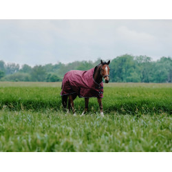 Equithème TYREX 1200D High Neck Decke Bordeaux Equithème TYREX 1200D High Neck Decke Bordeaux