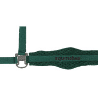 Nylonhalfter Equithème 3D Mesh Königsblau Nylonhalfter Equithème 3D Mesh Königsblau
